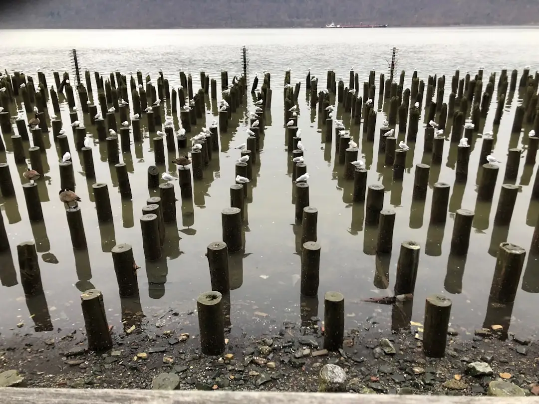 长三角地区企业空气护理方案：加湿器与香薰机配置趋势观察